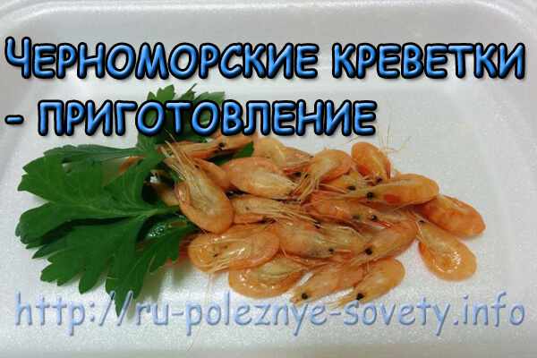 Черноморские креветки – готовим быстро и вкусно