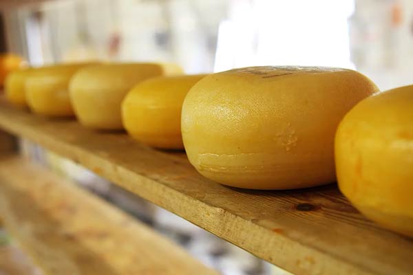 Применение сыра в кулинарии: правила и секреты