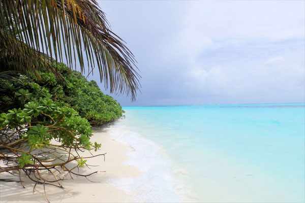 Отдых на Мальдивах – все, что нужно знать туристу