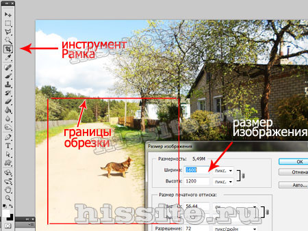 Инструмент «Рамка кадрирования» в фотошоп