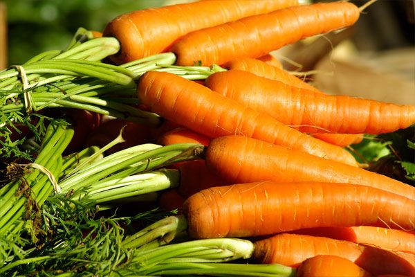 Посадка моркови без прореживания