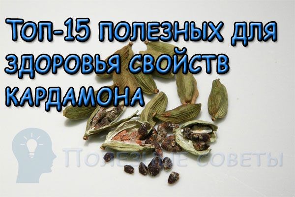 Топ-15 полезных для здоровья свойств кардамона