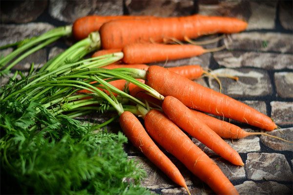 Уборка моркови с грядки